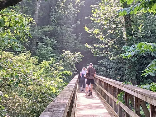 Golden Morning Walkers Club