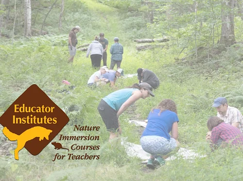 Place-Based Geology & Earth Science