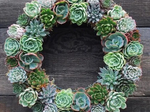Floral Workshop: Springtime Succulent Wreath