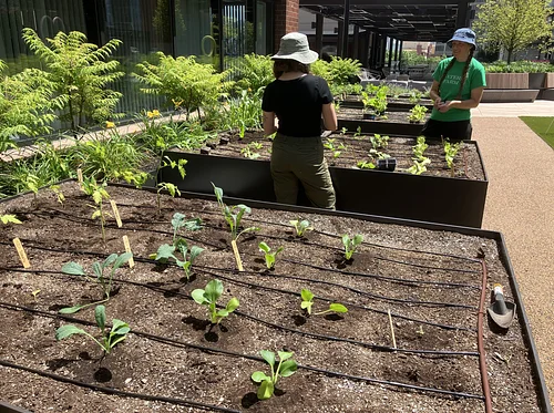 Green City Growers Farmer Visits 2026