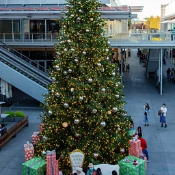 Holiday Tree Lighting Ceremony