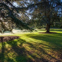 Walking Tour of Golden Gate Park
