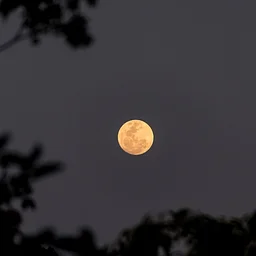 NJEA Mini Camp: Our Marvelous Moon