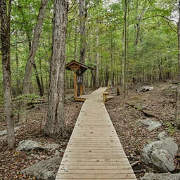 Weekday Hike at Blevins Gap North