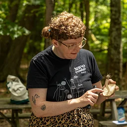 Mushroom Walk & Fungi Identification with Chris Baker