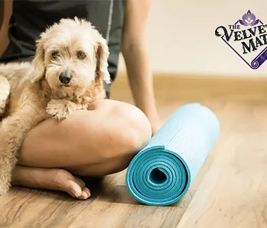 Dog Pub Social Doggie Yoga