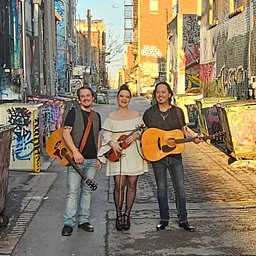 Potter Johns Trio