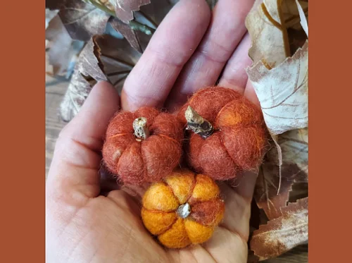 Workshop: Mini Wet-Felted Pumpkins