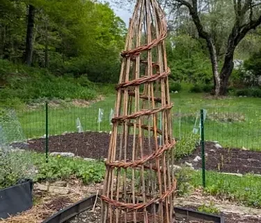 Woven Willow Garden Obelisk