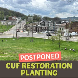 POSTPONED - CUF Restoration Planting
