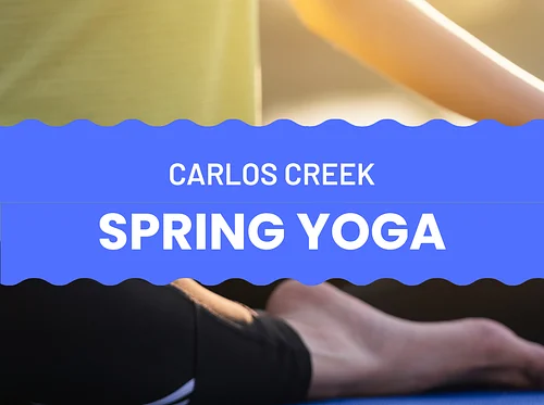 Yoga with Yoga Borealis