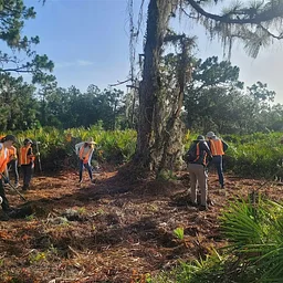 Myakka Headwaters Preserve Volunteer Event and Picnic