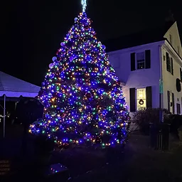 Aristaeus at Dickens Night
