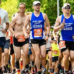Run for the Paws