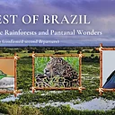 Indiana Audubon 2027 Brazil Birding Tour (second departure)