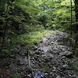 Hemlock Brook & Harmon Pond