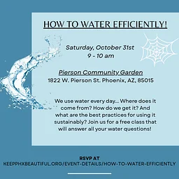 How to Water Efficiently!