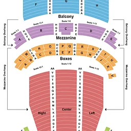 Black Panther in Concert