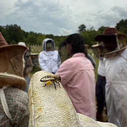 Fundraiser for Northeast Collaborative Beekeepers Network (NECBN)