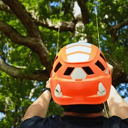 Arborist Training in Manassas, VA