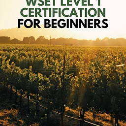 WSET Level One Certification
