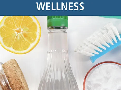 Green Spring Cleaning