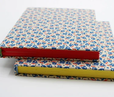 Handmade Book: Materials & Techniques: Morning