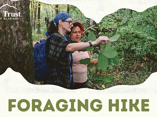 ***POSTPONED*** Foraging Hike at Wade Mountain Nature Preserve