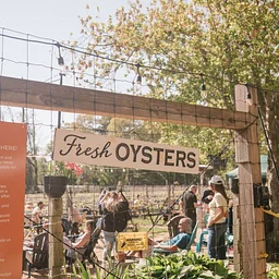 Saturday Sounds with Paris Ray, Oysters by Tall Mutha Shucka and Food by Orchard Street