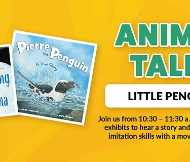 Early Childhood Pop-Up: Animal Tales – Islands / Little Penguin Exhibit