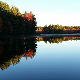 Photographing Fall Foliage at the Quabbin
