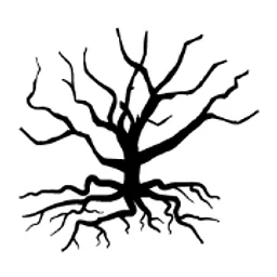Roots. Seasonal Cuisine