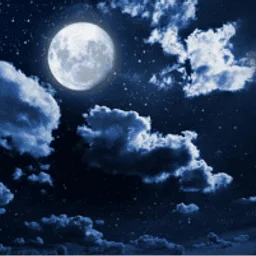 October 24 – Moonlight Hike, Burgess Brown