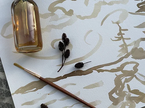 Outdoor Studio: Nature Mandalas & Painting with Plant Inks with Katama Murray & Midcoast Conservancy