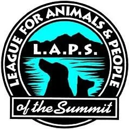 laps Funraiser