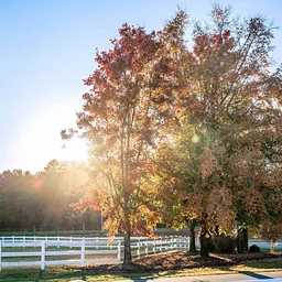 Fall Artisan Market