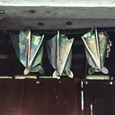 Copper class – bats! at the Vineyard at Hershey