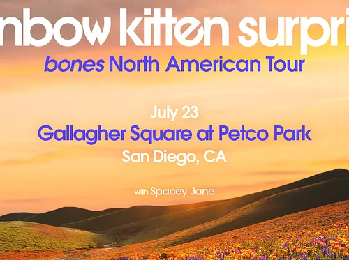 Rainbow Kitten Surprise