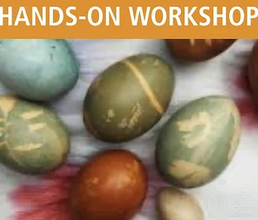 Botanically Dyed Eggs