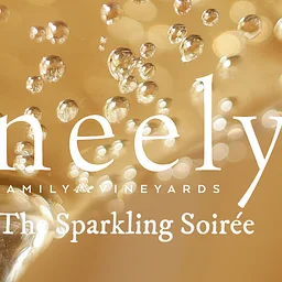 The Sparkling Soirée