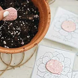 Seed Paper Making Workshop