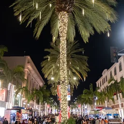Rodeo Drive Holiday Lighting Celebration 2026