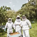 Koophaus Apiaries