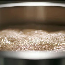 Maple Sap Boil