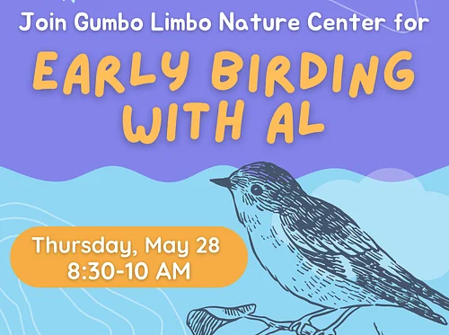 Early Birding with AL