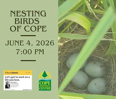 Nesting Birds of Cope
