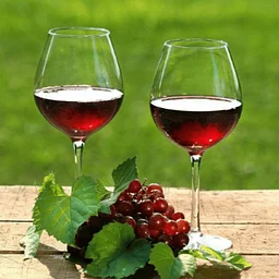 Summer Wine Tasting by the River