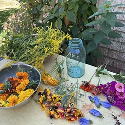 Botanical Bundle Dyeing With Plants, Flowers & Roots