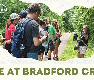 Hike at Bradford Creek Greenway