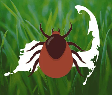 Make Ticks Take a Hike!